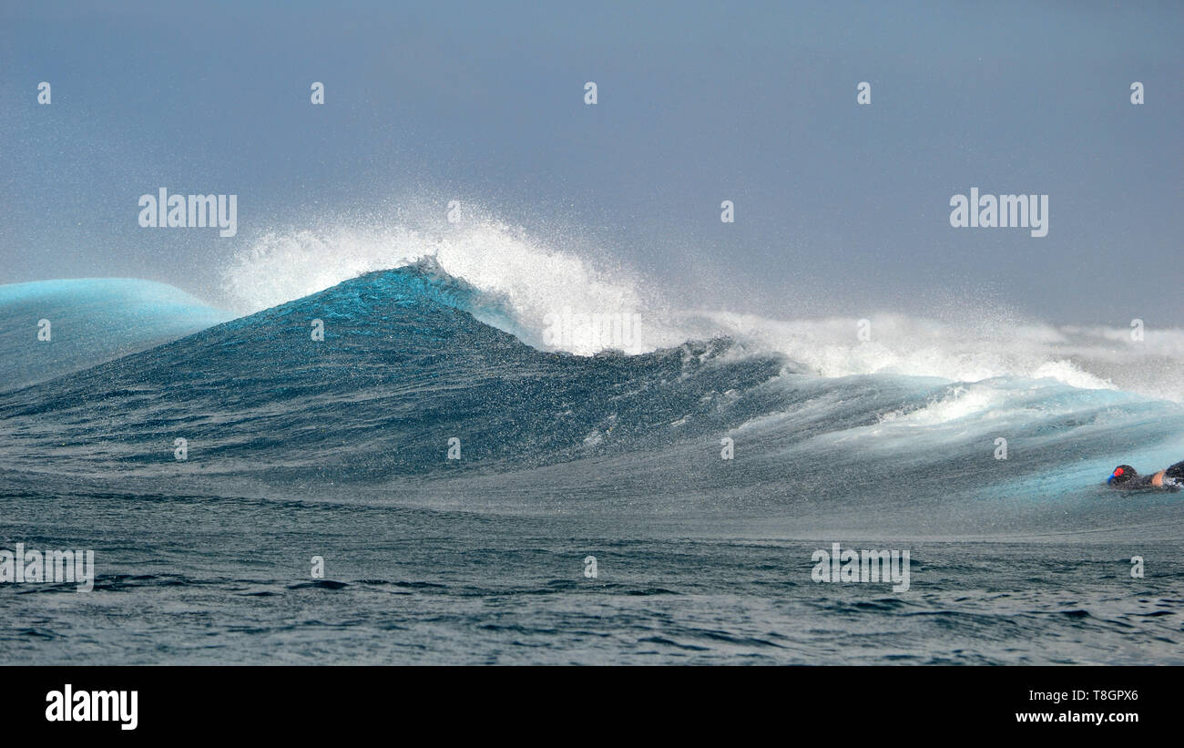 Snorkeler observe un déferlement des vagues pendant une grosse houle à Palikir ou P-Pass, Pohnpei, États fédérés de Micronésie Banque D'Images