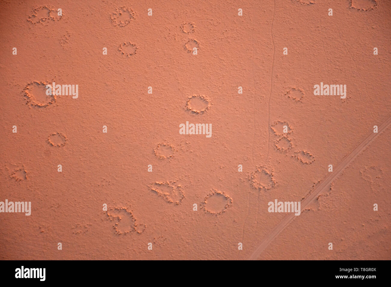 Vue aérienne de cercles de fées, des phénomènes naturels qui se produisent dans le désert du Namib, Namib-Naukluft National Park, région de Sossusvlei, Sesriem, Namibie Banque D'Images