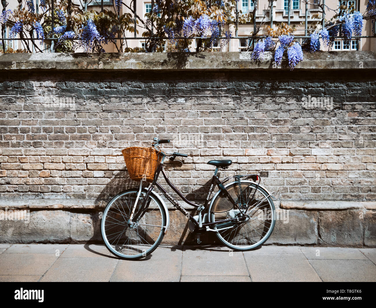 Un vélo traditionnel, en vélo ou en vélo avec un panier garé contre le mur du Sidney Sussex College, Université de Cambridge CAMBRIDGE UK Banque D'Images