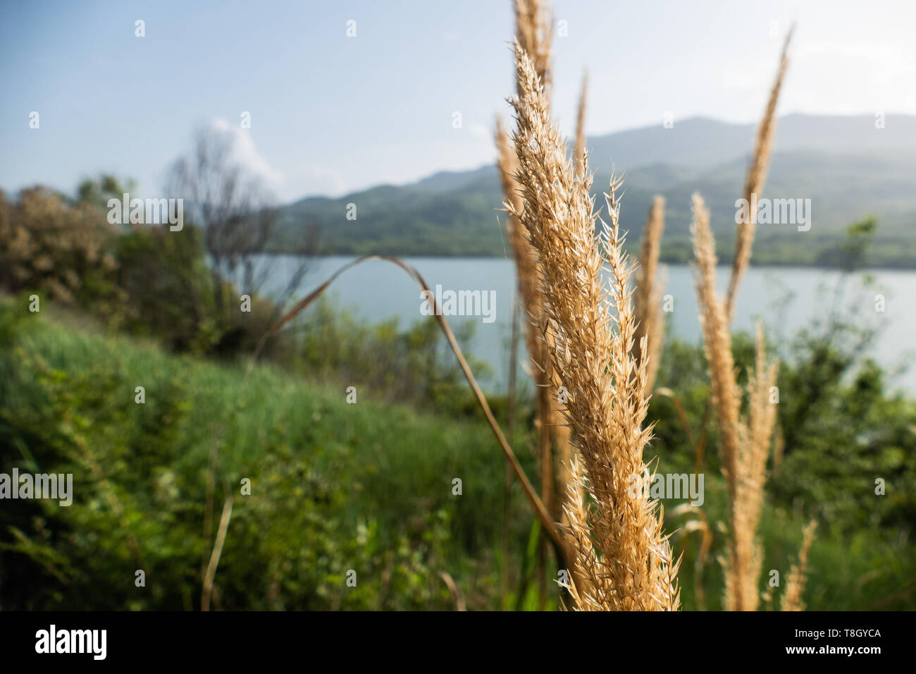 Vue sur le lac avec des montagnes en arrière-plan, et Ciel clair Banque D'Images