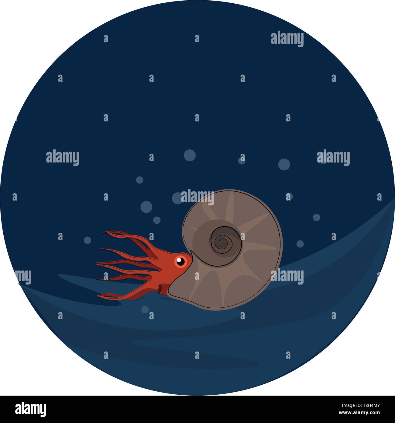 Un groupe éteint de l'ammonite marine qui est en sous l'eau , Scénario, dessin en couleur ou d'illustration. Illustration de Vecteur