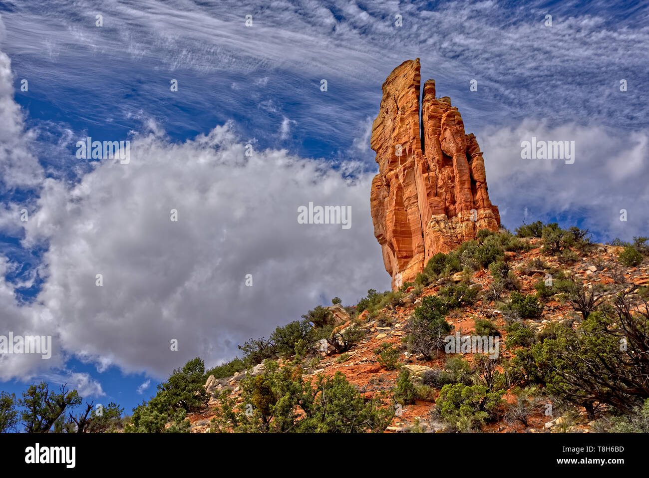 Rock formation Oreille de lapin et Courthouse Butte, Sedona, Arizona, United States Banque D'Images