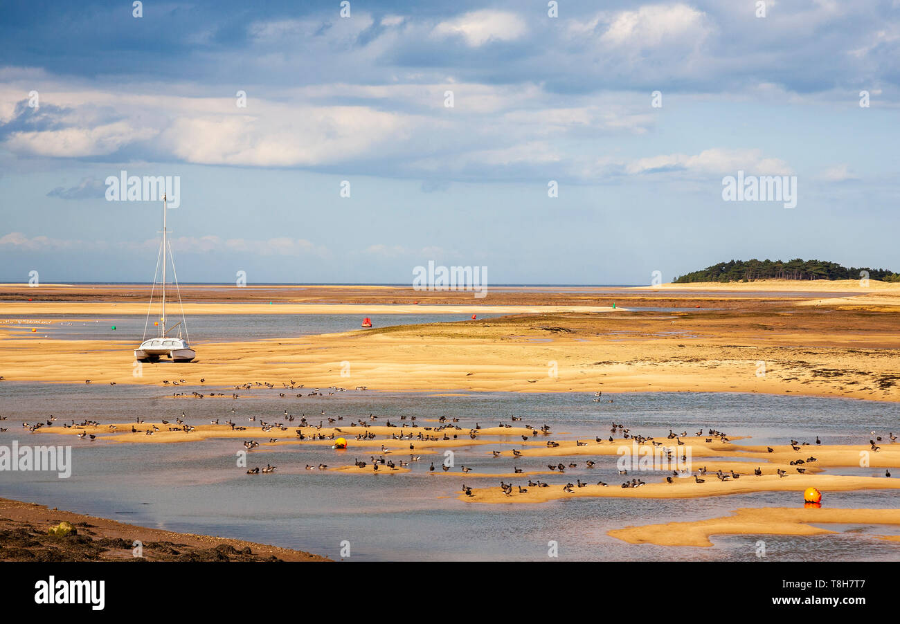 Un bateau conché sur l'estuaire de la flotte est à marée basse, Wells-Next-the-Sea, Norfolk Banque D'Images