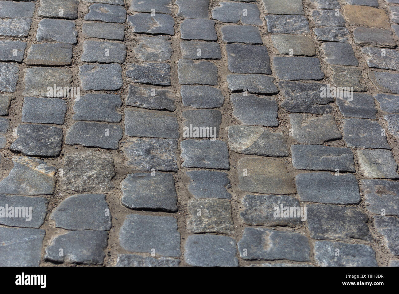 Vieux carreaux de pavage de galets texture background. Copy space Banque D'Images