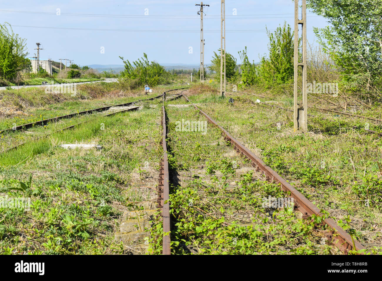 Vieux rails rouillés abandonnés avec les mauvaises herbes et les plantes à travers eux Banque D'Images