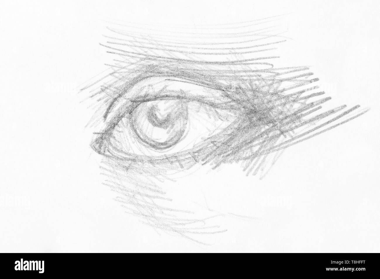 Croquis de l'œil humain éclos à la main par crayon noir sur papier blanc Banque D'Images