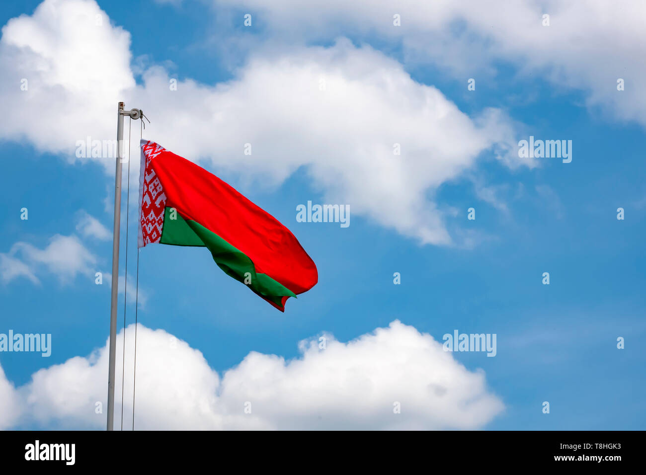 Brandir le drapeau biélorusse dans le vent Banque D'Images