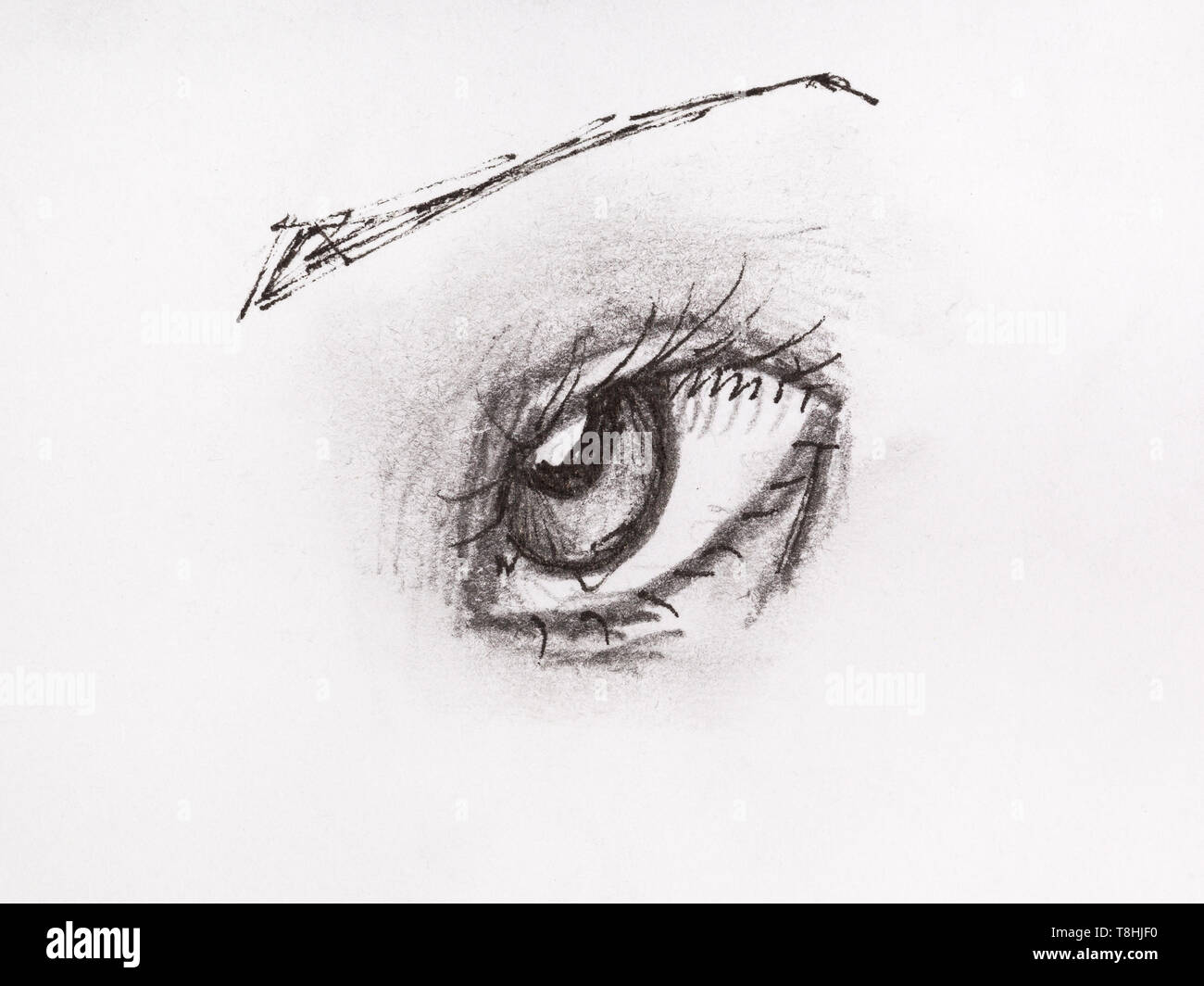 Croquis de l'œil roulé à la main par crayon et encre noire sur papier blanc  Photo Stock - Alamy
