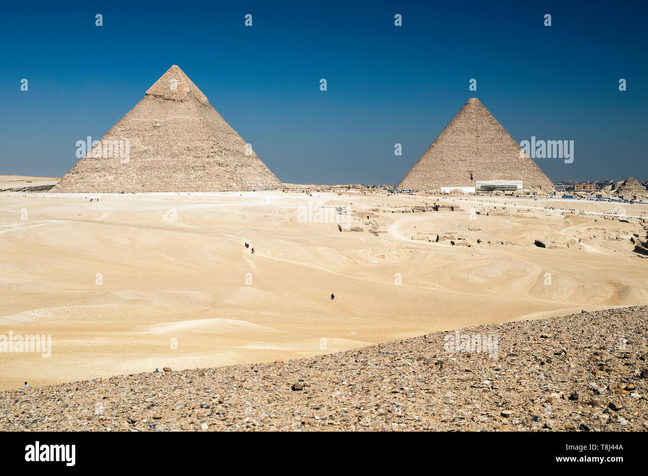 Les pyramides de Khéops et de Khéphren à Gizeh, près du Caire, Egypte Banque D'Images