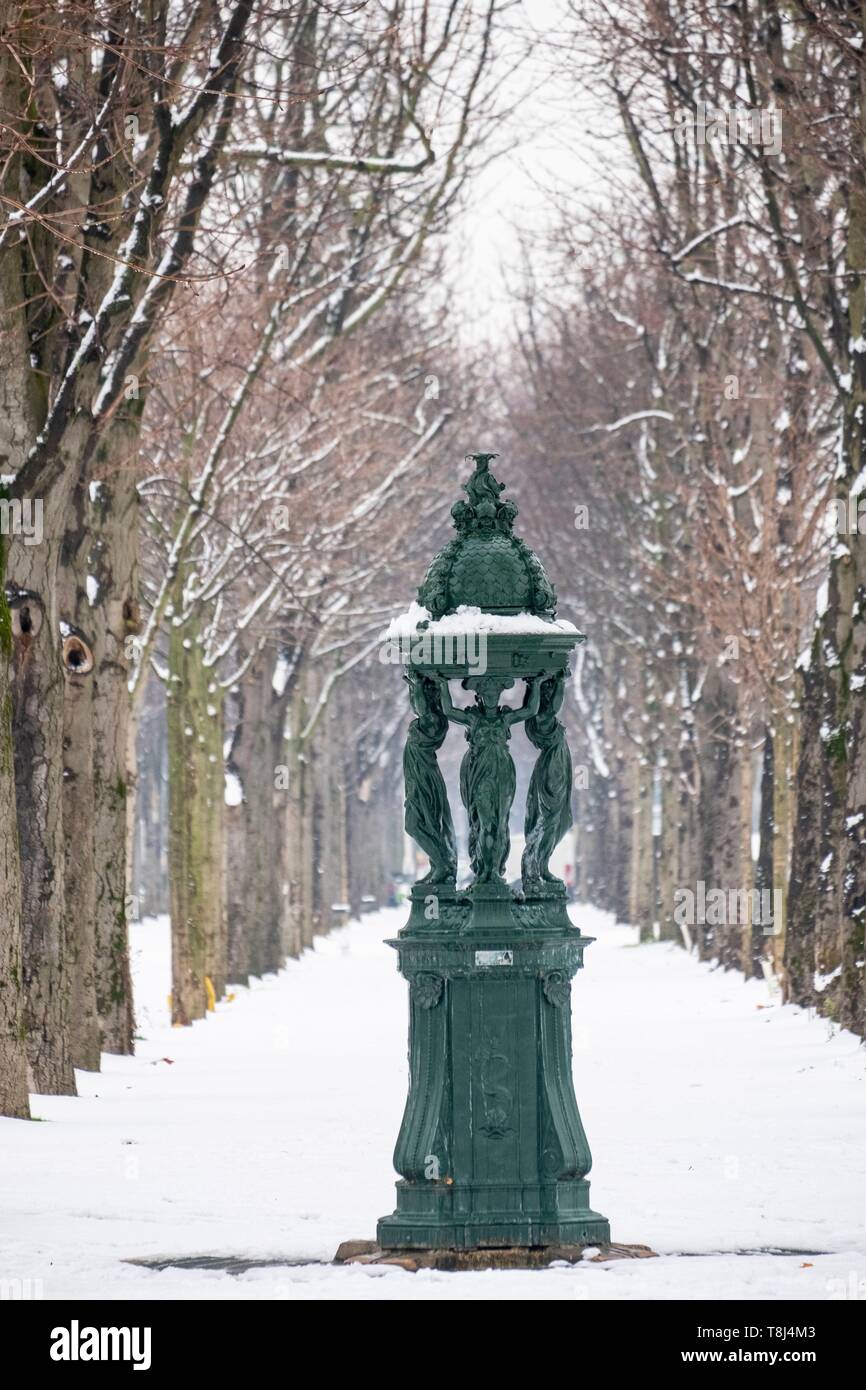 France, Paris, contre-allée de l'Avenue des Champs Elysées, une fontaine Wallace sous la neige Banque D'Images