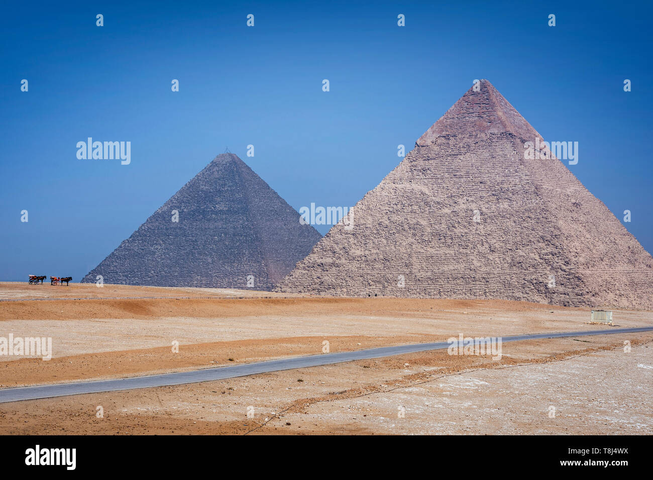 Comité permanent des chevaux par pyramide de Gizeh, près du Caire, Égypte complexe Banque D'Images