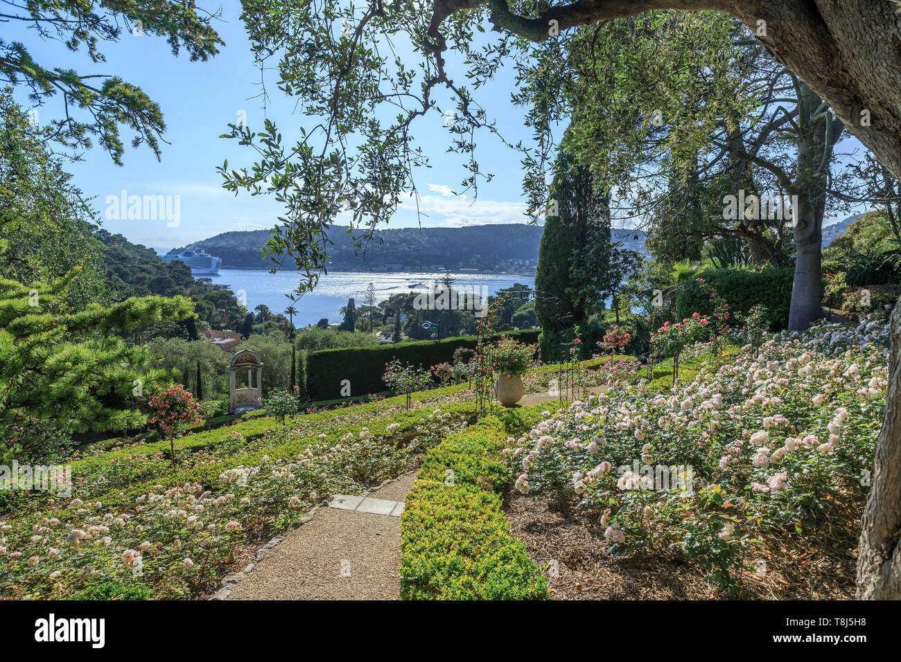 France, Alpes Maritimes, Saint Jean Cap Ferrat, la Villa et jardins Ephrussi de Rothschild, le Rose Garden // France, Alpes-Maritimes (06), Saint-Jean- Banque D'Images