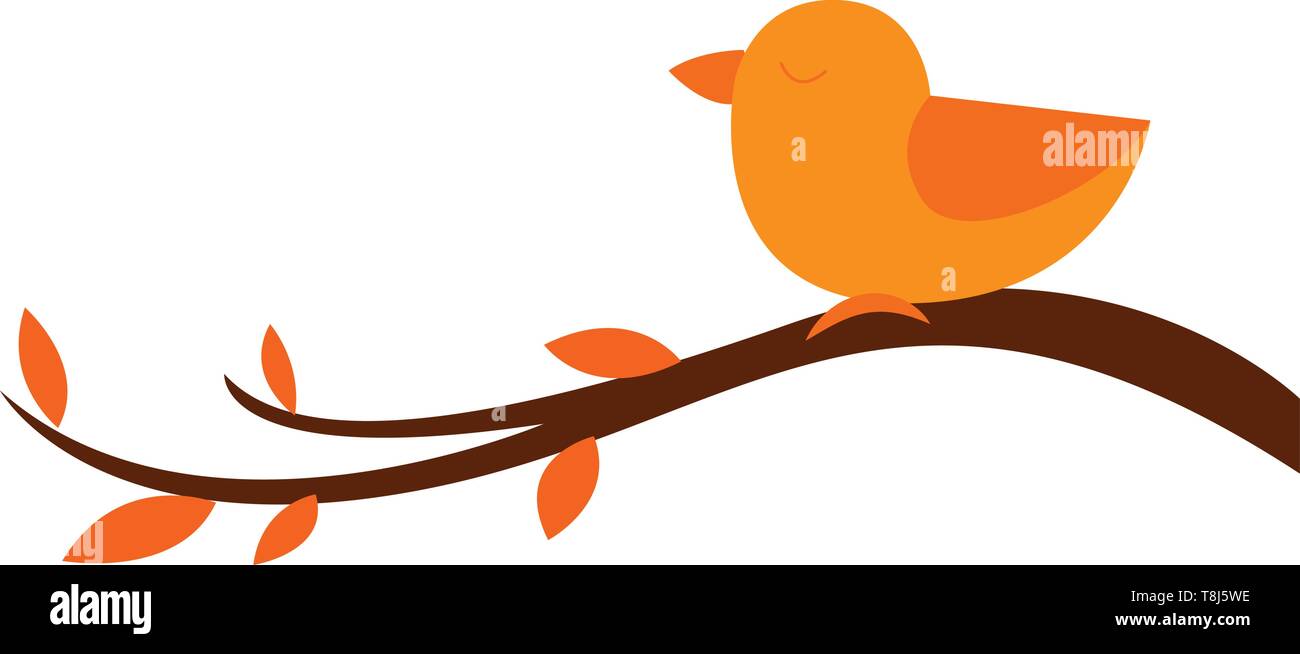Un mignon petit oiseau orange perché sur les branches de l'arbre à feuilles ovales et les yeux fermés est très beau, vu de côté, vecteur, c Illustration de Vecteur Un mignon petit oiseau orange perché sur les branches de l'arbre à feuilles ovales et les yeux fermés est très beau, vu de côté, vecteur, c Illustration de Vecteur