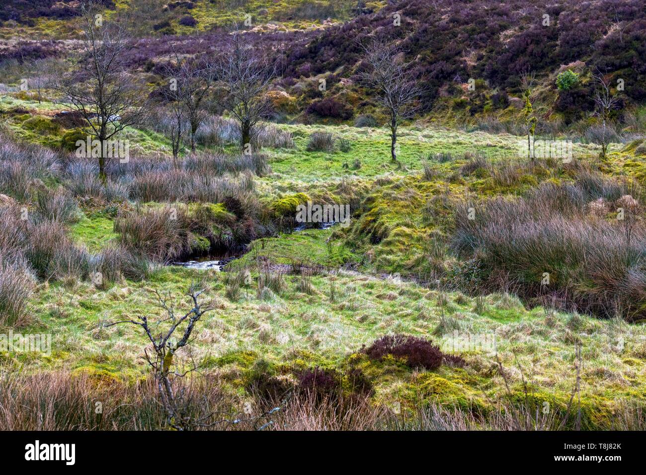 Royaume-uni, Irlande du Nord, l'Ulster, comté de Tyrone, montagnes Sperrin, Banque D'Images