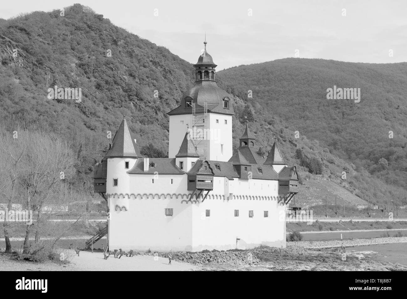 Château Pfalzgrafenstein (allemand : Burg Pfalzgrafenstein) est un château sans frais sur l'île de Falkenau, autrement connu comme l'île dans le Palatinat du Rhin (K Banque D'Images