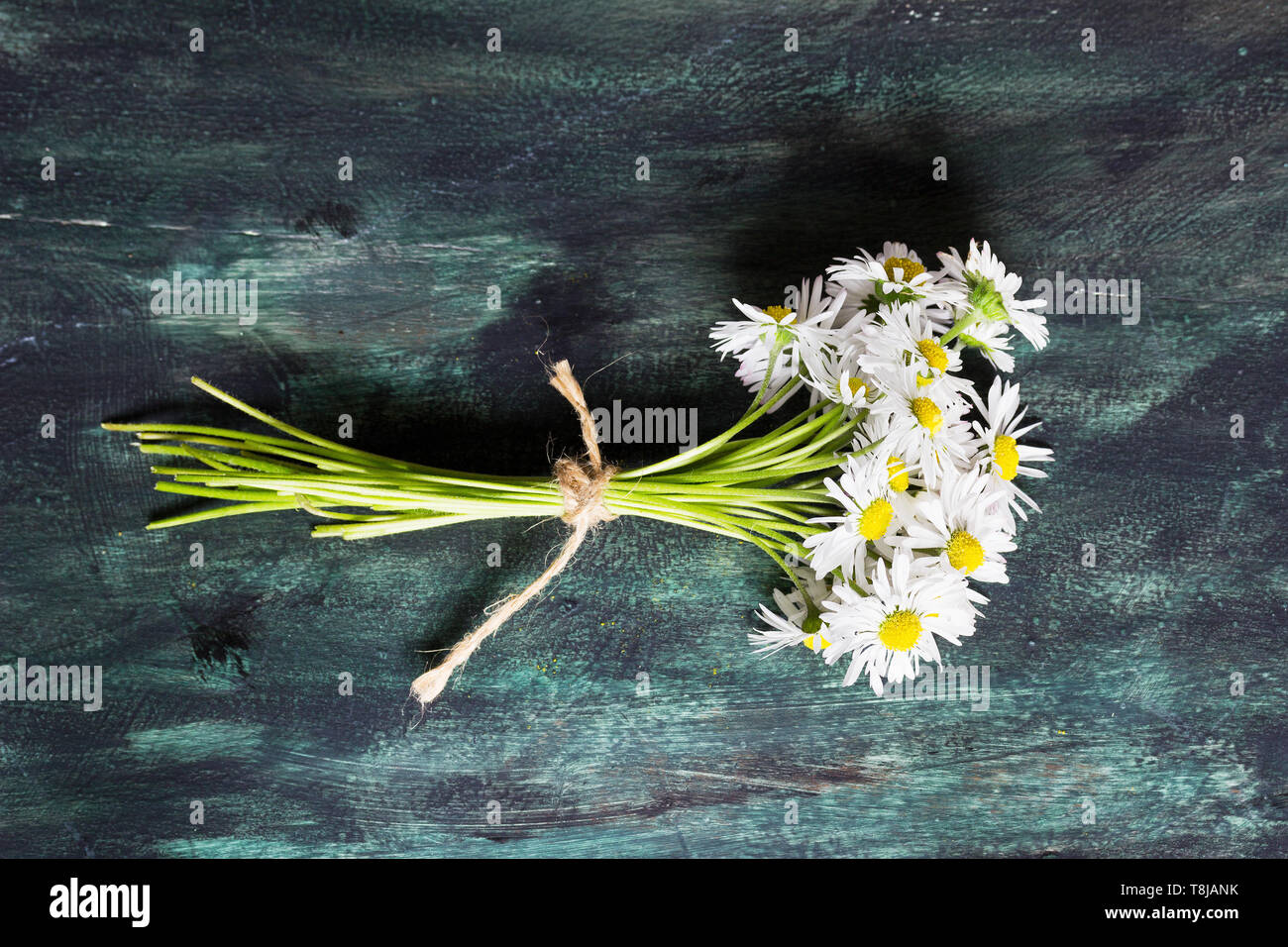 Bouquet de marguerites blanches sur la table en bois- Vue de dessus Banque D'Images