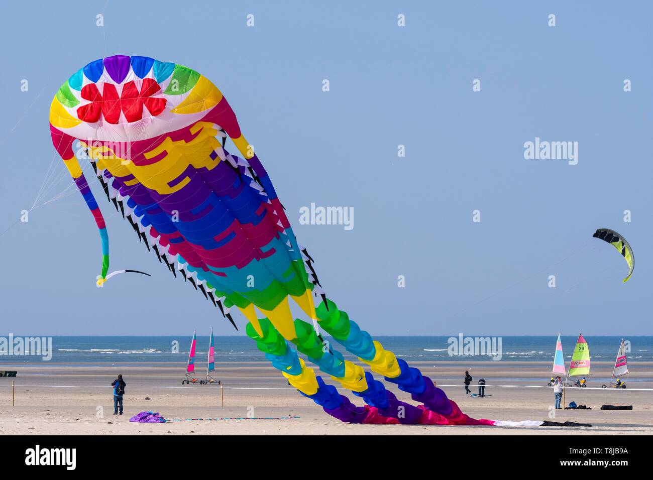 La France, Pas de Calais, Côte d'Opale, Berck-sur-Mer, Berck-sur-Mer Kite International Réunions, pendant 9 jours, la ville accueille 500 cerfs-volants du monde entier pour l'une des plus importantes manifestations de cerf-volant dans le monde Banque D'Images