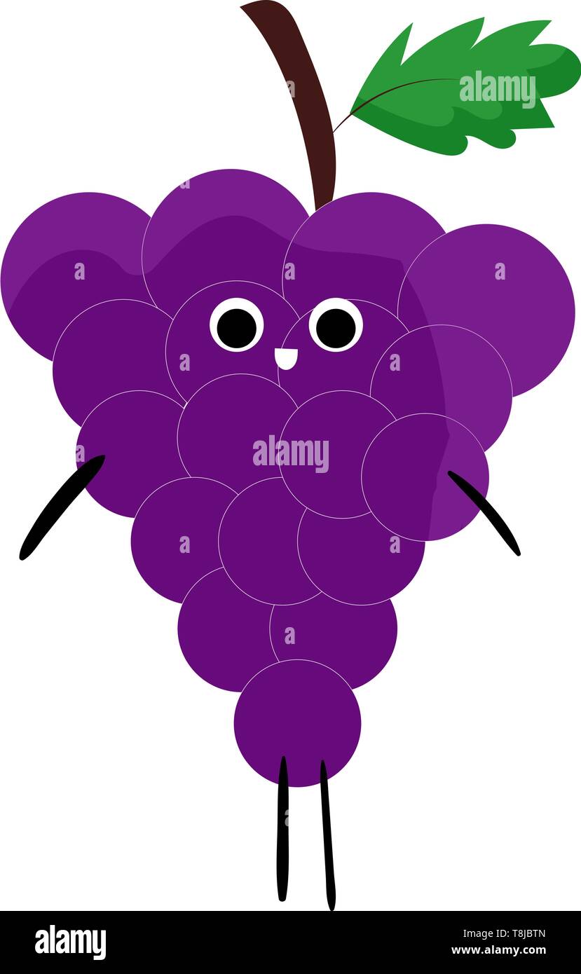 Une illustration couleur de raisins de Sinaï, Scénario, dessin en couleur ou d'illustration. Illustration de Vecteur