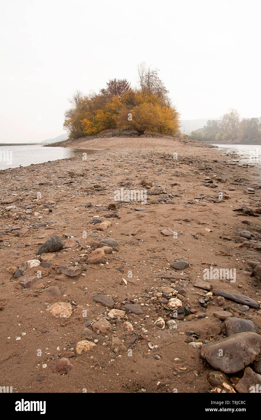 - Peu de forêts dans une distance avec une longue plage par jziprian Banque D'Images