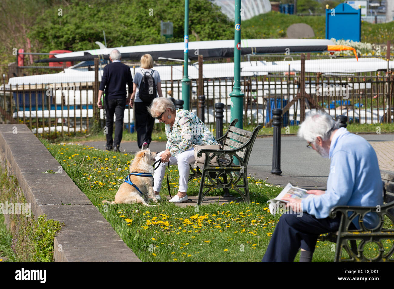 Les hommes et les femmes bénéficiant de temps libre par un beau matin ensoleillé - couple, Man reading newspaper, woman with dog Banque D'Images