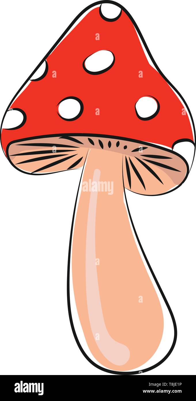 Petits champignons minuscules, rouge à pois blancs, Scénario, dessin en couleur ou d'illustration. Illustration de Vecteur