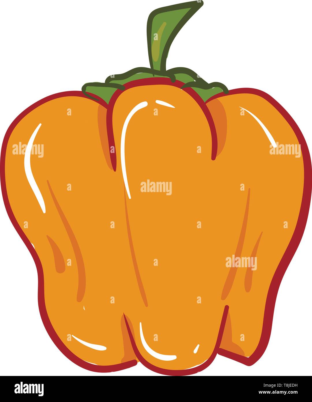 Poivron Orange avec tige verte utilisée dans les salades ou les légumes, Scénario, dessin en couleur ou d'illustration. Illustration de Vecteur