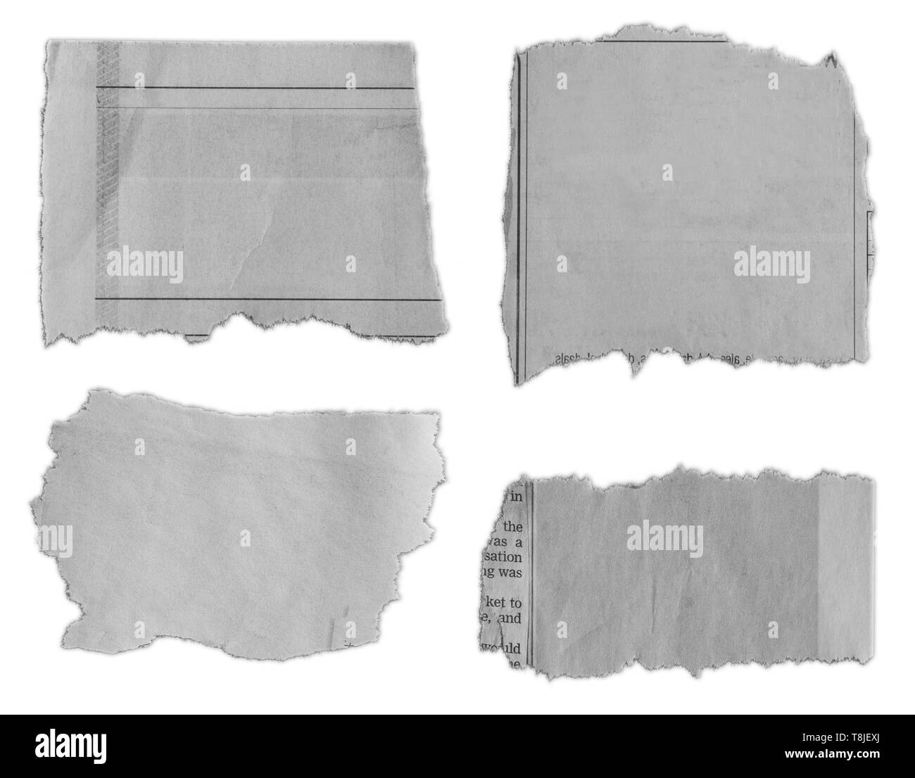 Morceaux de papier déchiré sur fond uni Banque D'Images