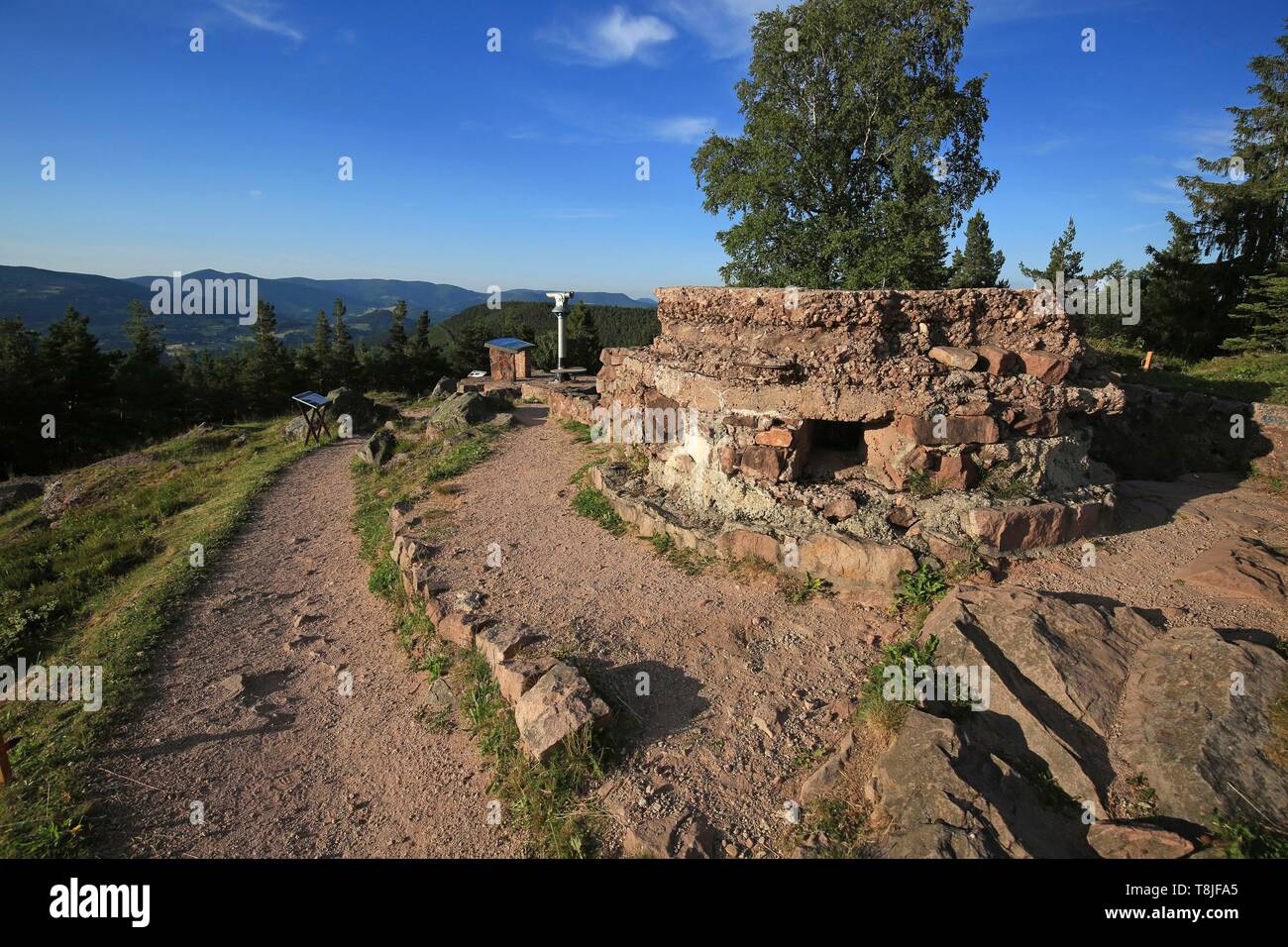 France, Alsace, Massif des Vosges, Collet du linge, entrée à la Musée Mémorial du Linge, de la guerre de 1914 1918, de violents combats entre les vallées d'Orbey et de Munster Banque D'Images