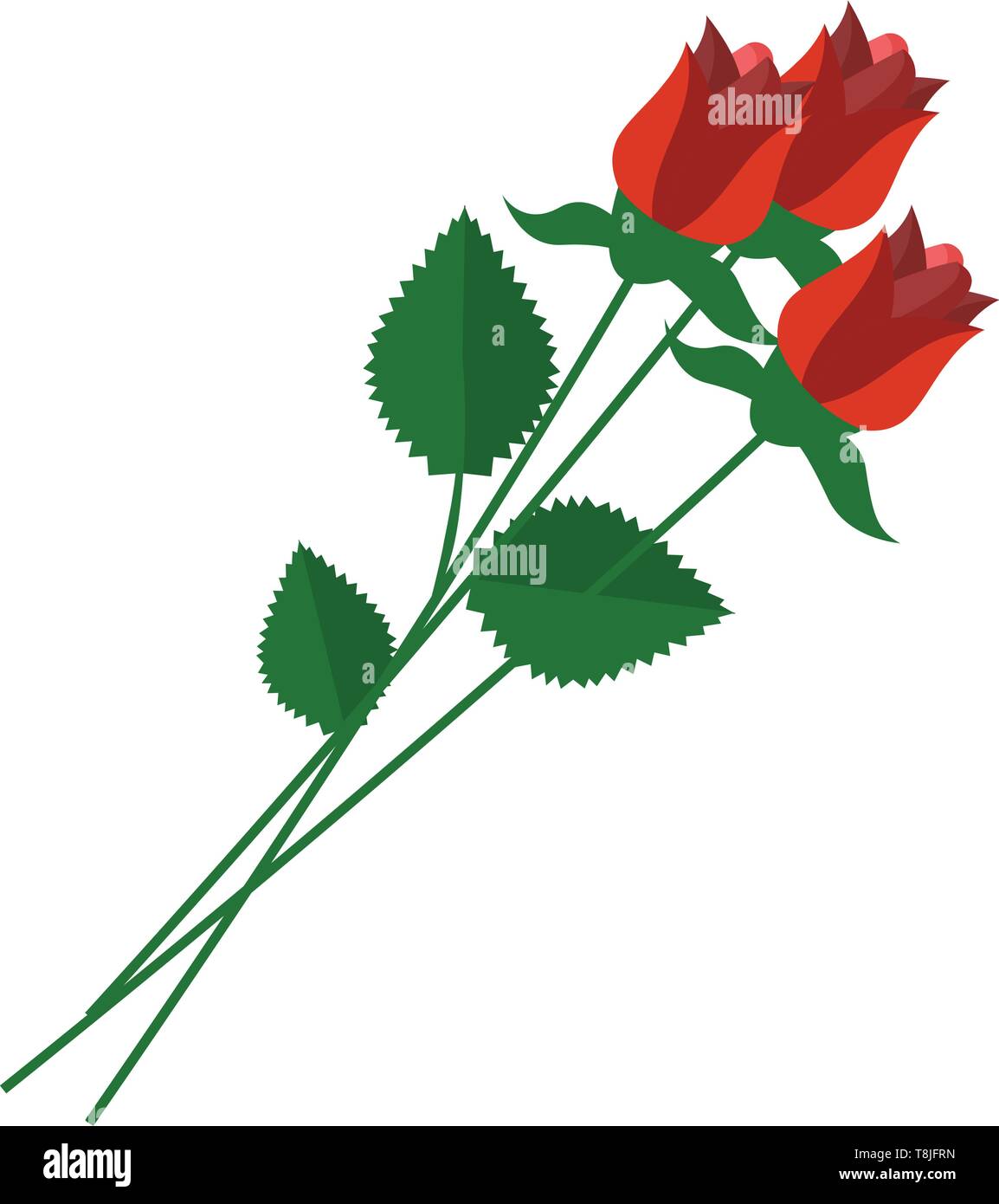 Bouquet de roses rouges avec de belles feuilles vertes et mince mince tige, Scénario, dessin en couleur ou d'illustration. Illustration de Vecteur