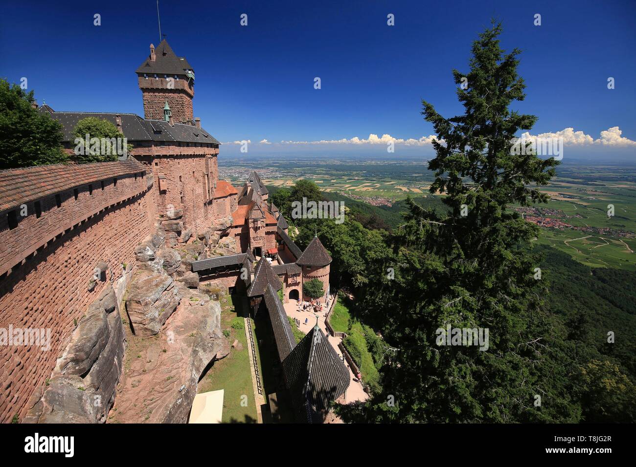 La France, Bas Rhin, Route des Vins d'Alsace, Orschwiller, château du Haut Koenigsbourg Banque D'Images