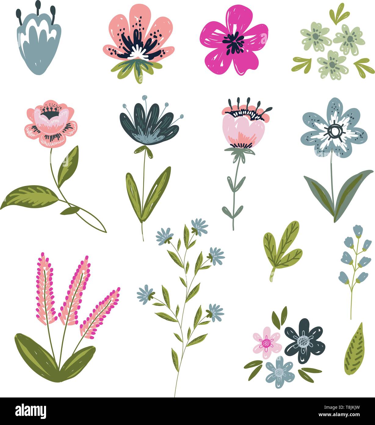 Vector set d'éléments floraux isolés avec des fleurs à la main. Ensemble d'éléments de botanique doodle. Illustration de Vecteur