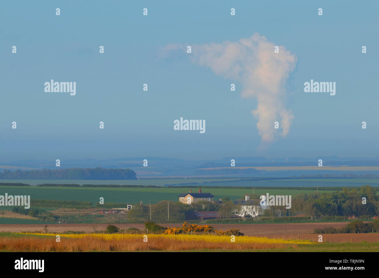 À l'égard Drax Power Station de Bempton Cliffs dans l'East Yorkshire, qui est de plus de 42 kilomètres à vol d'oiseau Banque D'Images