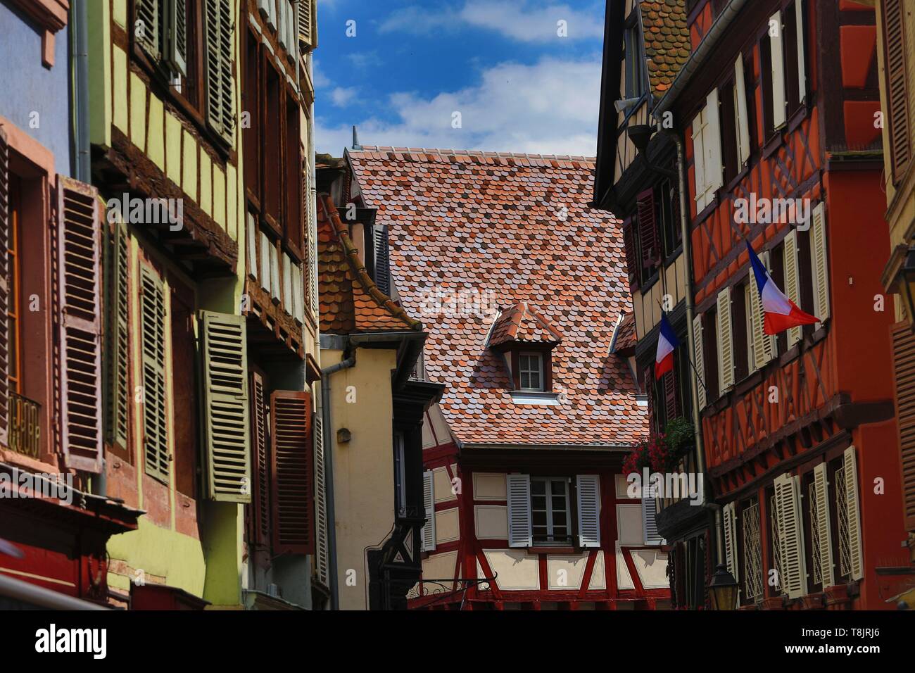 France, Alsace, Colmar, tuiles vernissées et colombages rue des Marchands à Colmar Banque D'Images