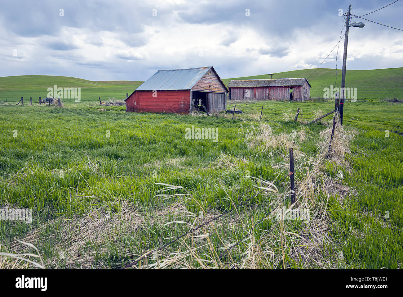Une vieille grange rouge dans les champs dans la région de palouse Washington. Banque D'Images