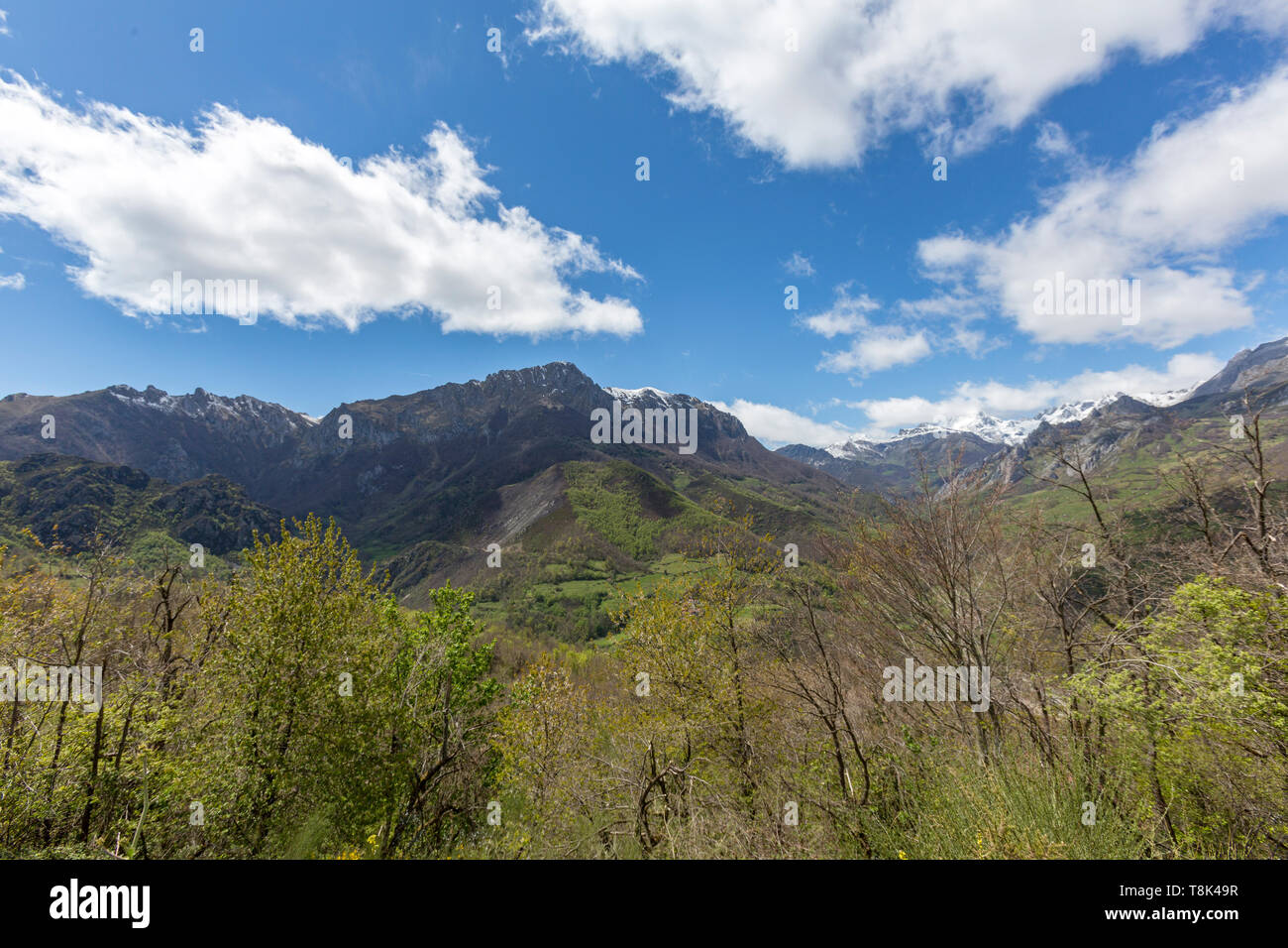 Las Ubiñas - la Mesa, Reserva de la Biosfera de Parc Naturel A66, Asturias, Espagne Banque D'Images