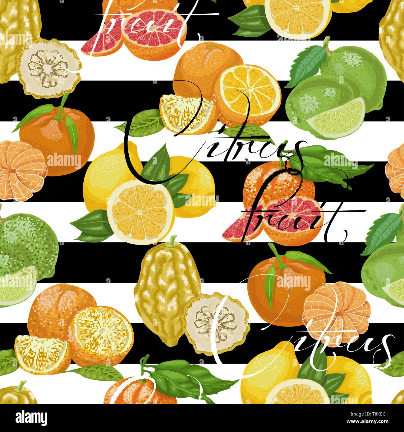 Modèle transparent avec les agrumes sur un fond noir et blanc. Pour votre conception d'illustration vectorielle Illustration de Vecteur