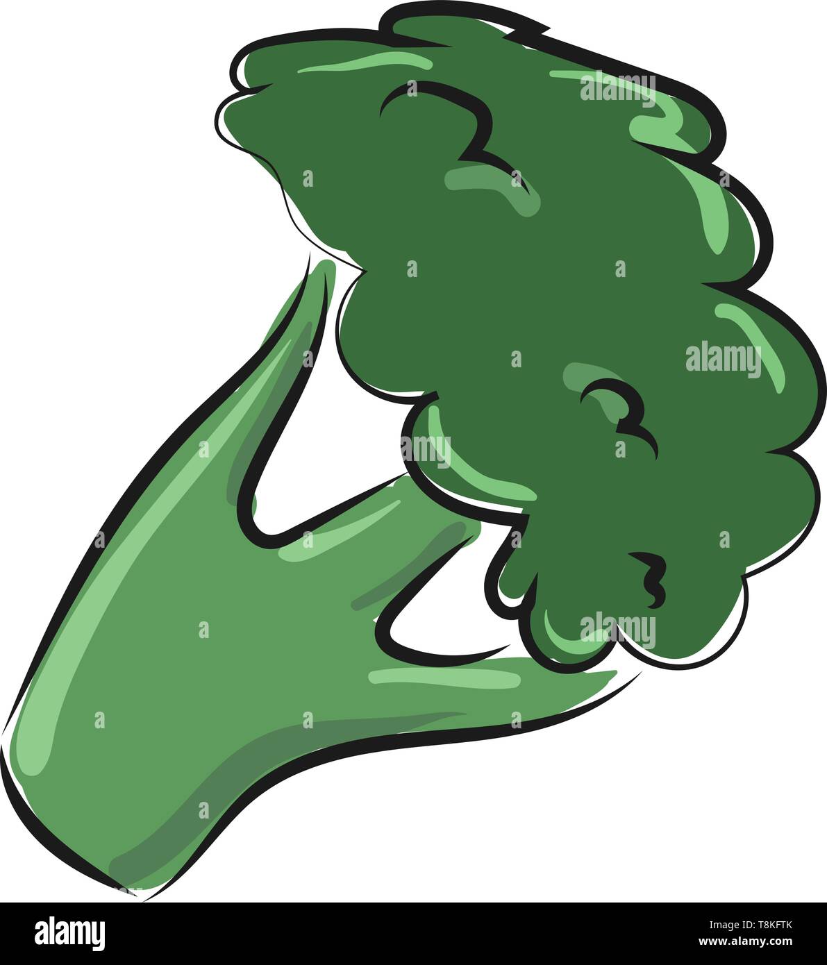 Le brocoli est un légume avec cluster dense de gros boutons de fleurs vert. Il y a plusieurs sortes de brocolis., Scénario, dessin en couleur ou d'illustration. Illustration de Vecteur