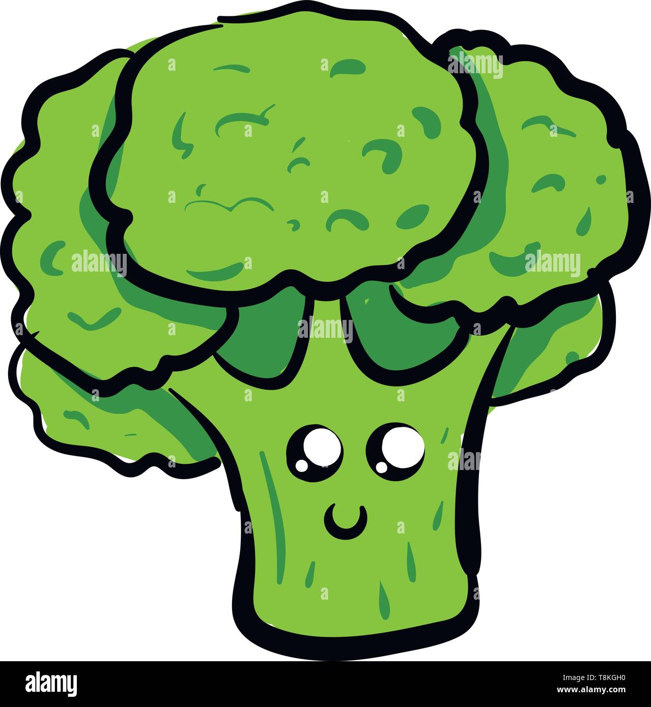 Le brocoli est un légume avec cluster dense de gros boutons de fleurs vert. Il y a plusieurs sortes de brocolis., Scénario, dessin en couleur ou d'illustration. Illustration de Vecteur