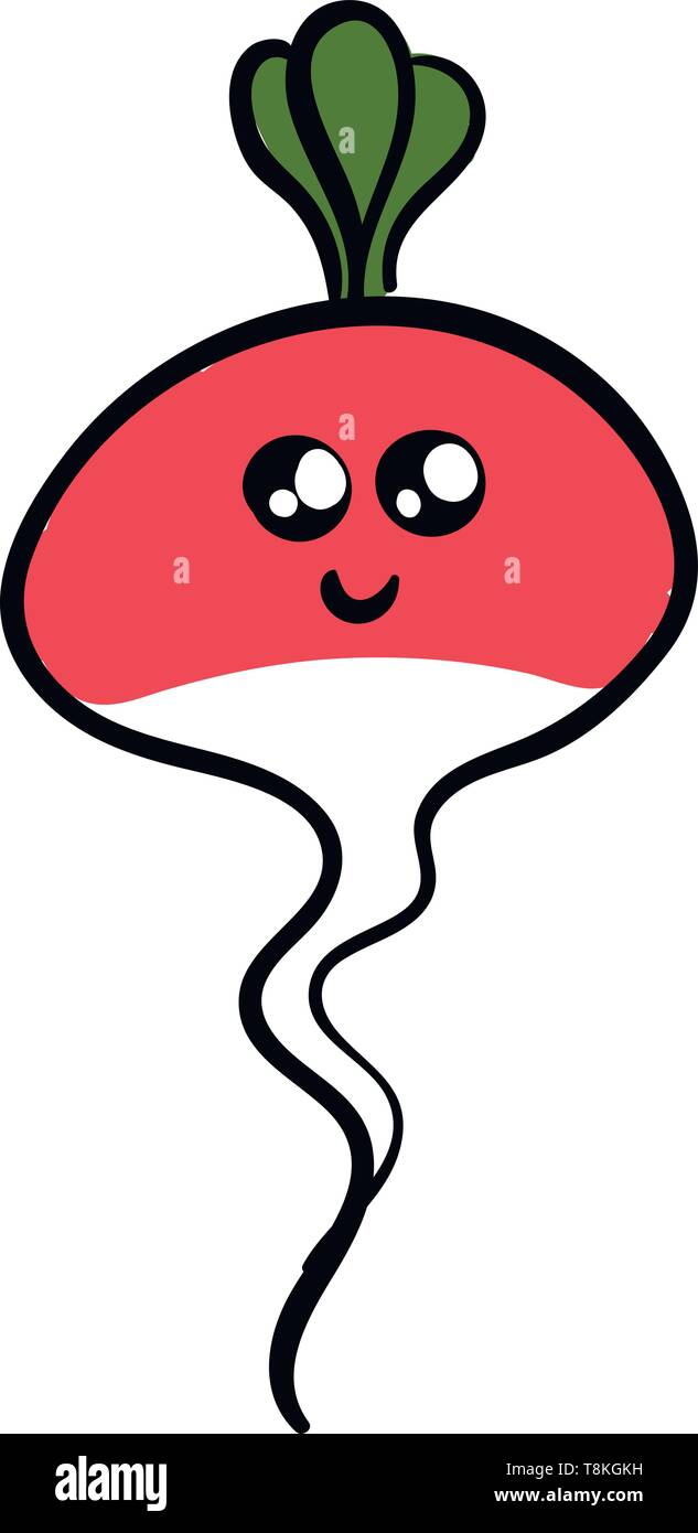 C'est un petit potager ayant racine comestible piquant., Scénario, dessin en couleur ou d'illustration. Illustration de Vecteur