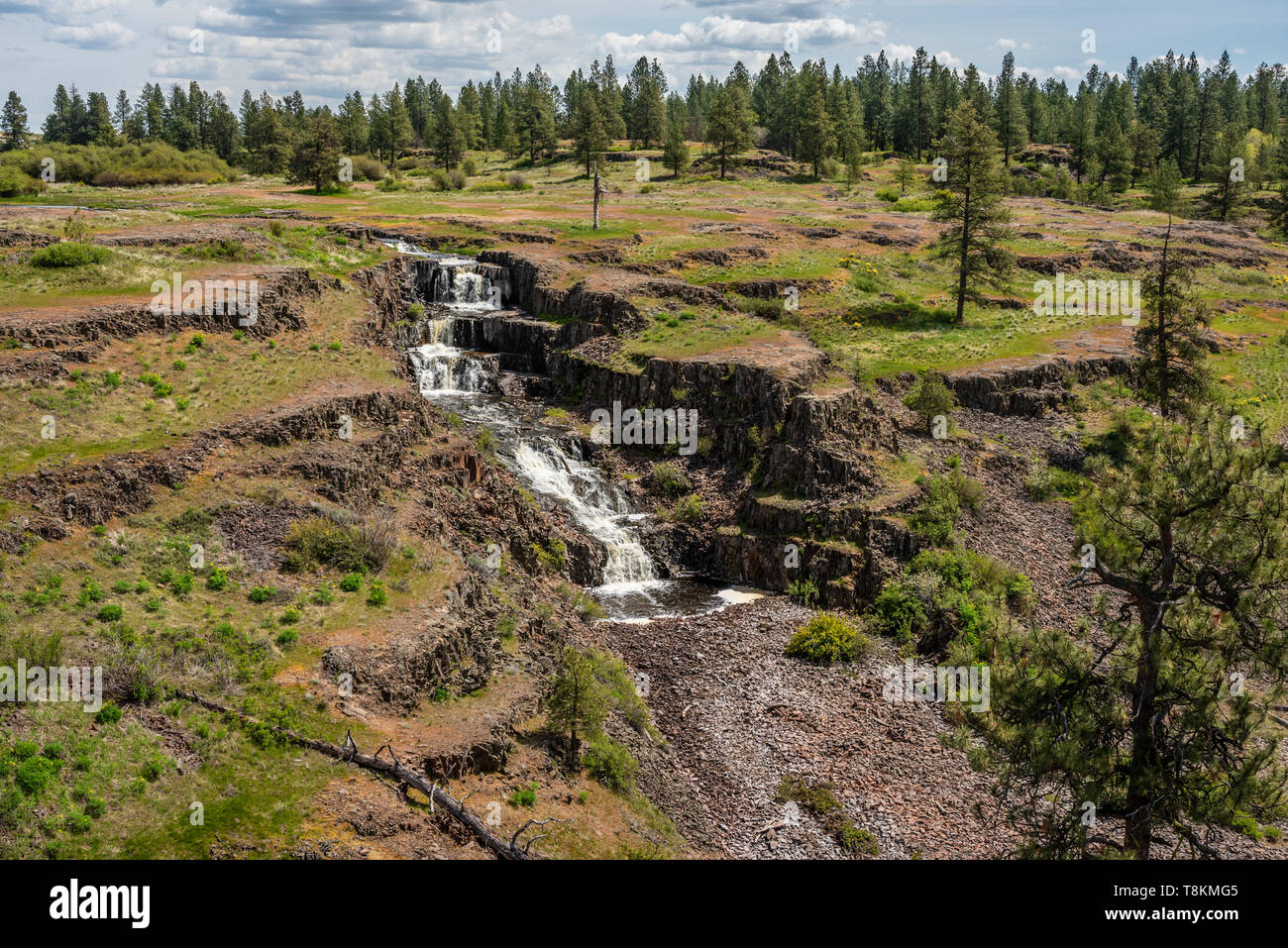 Canyon de porcs Falls Banque D'Images