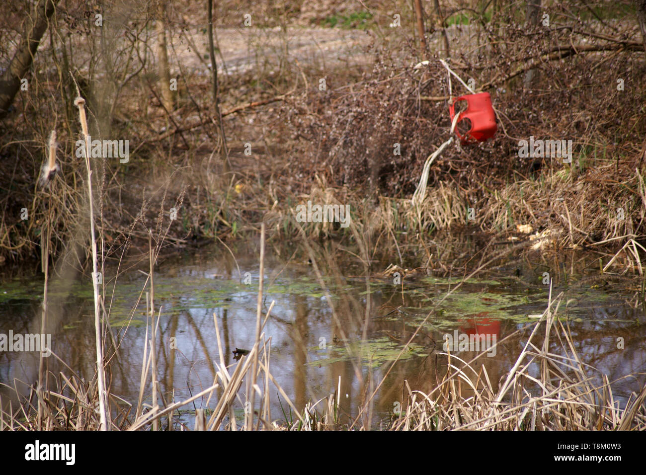 Les déchets plastiques dans le maquis d'une zone riveraine d'une rivière. Banque D'Images