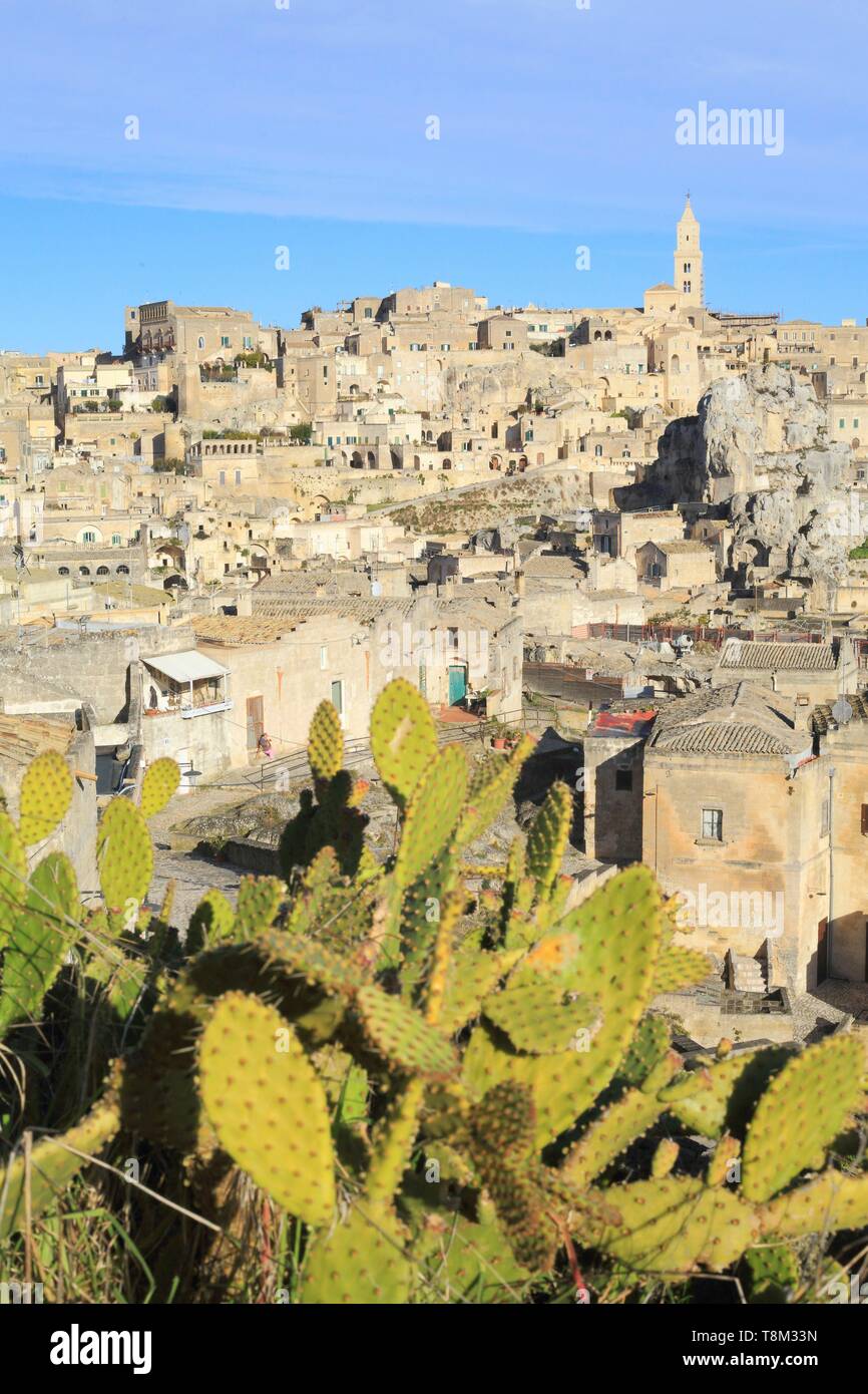 L'Italie, la Basilicate, Matera, vieille ville troglodytique classée au Patrimoine Mondial de l'UNESCO, Capitale européenne de la Culture 2019, Sassi di Matera Sasso, le Dodici lune avec la cathédrale et le premier figuier de Barbarie (Opuntia ficus-indica Banque D'Images