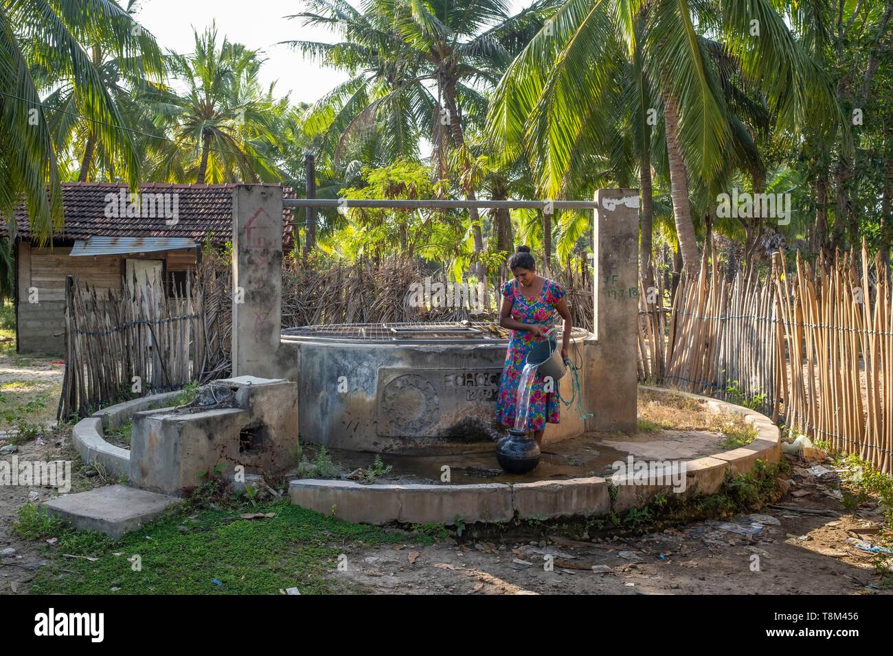 Sri Lanka, province du Nord, l'île de Mannar, Thalvupadu village, aller chercher de l'eau au puits Banque D'Images