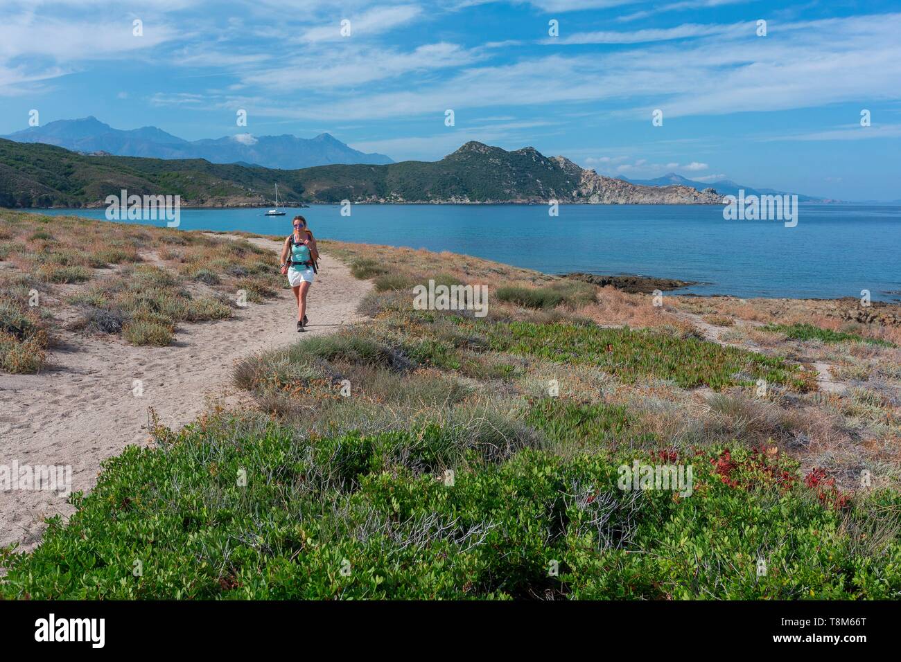 France, Haute Corse, désert des Agriates, woman hiking Banque D'Images