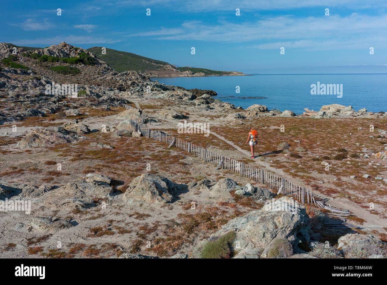 France, Haute Corse, désert des Agriates, woman hiking Banque D'Images