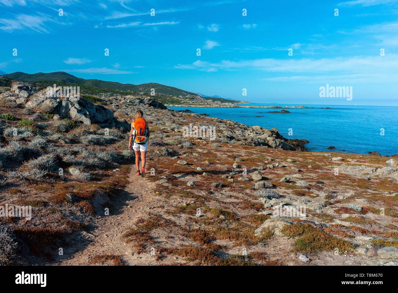 France, Haute Corse, désert des Agriates, woman hiking Banque D'Images