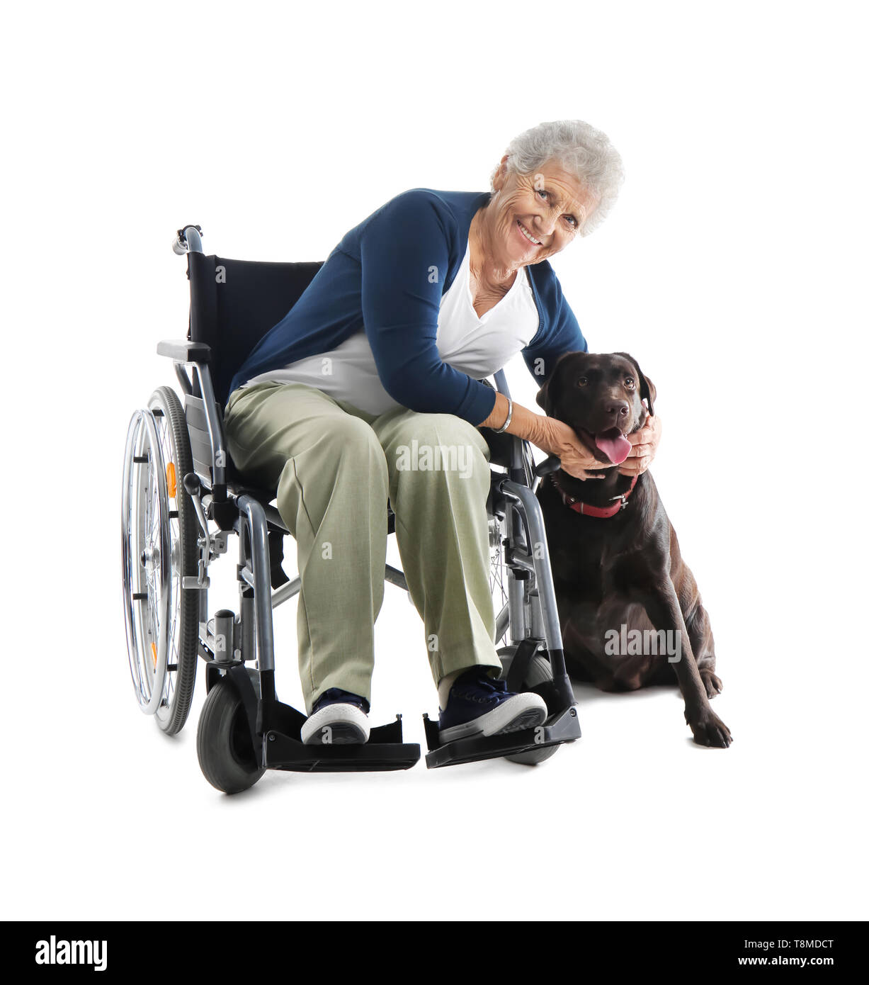 Senior woman in wheelchair with her dog on white background Banque D'Images