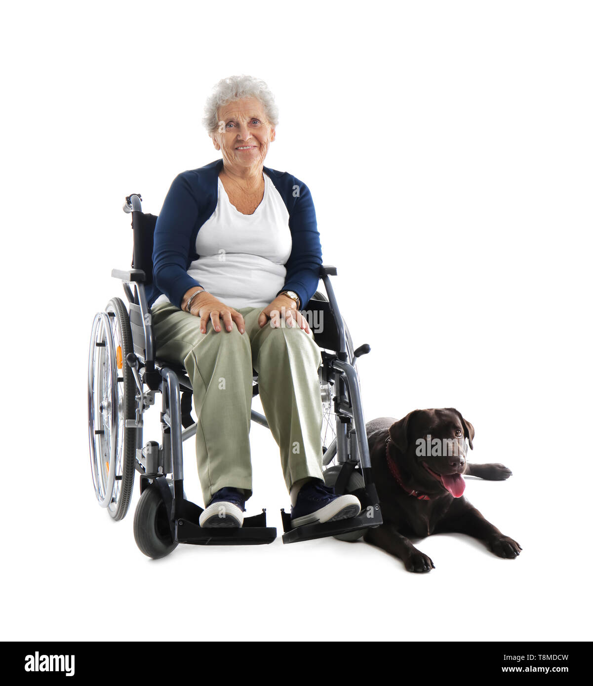 Senior woman in wheelchair with her dog on white background Banque D'Images