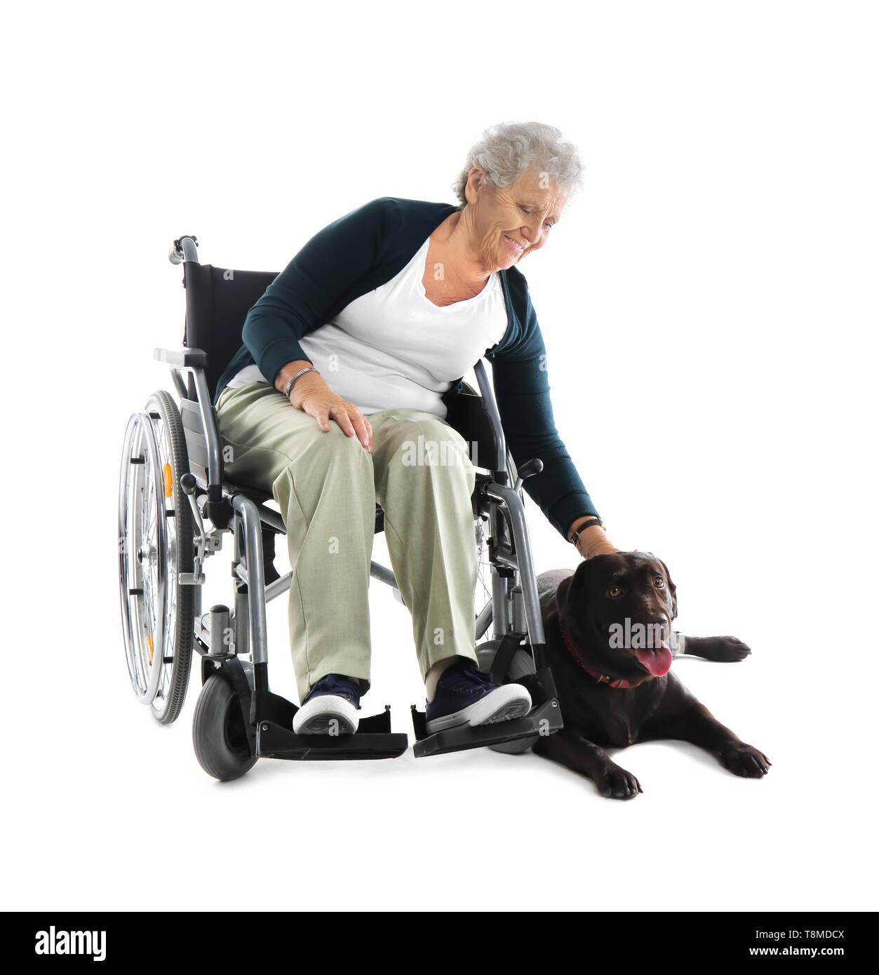 Senior woman in wheelchair with her dog on white background Banque D'Images