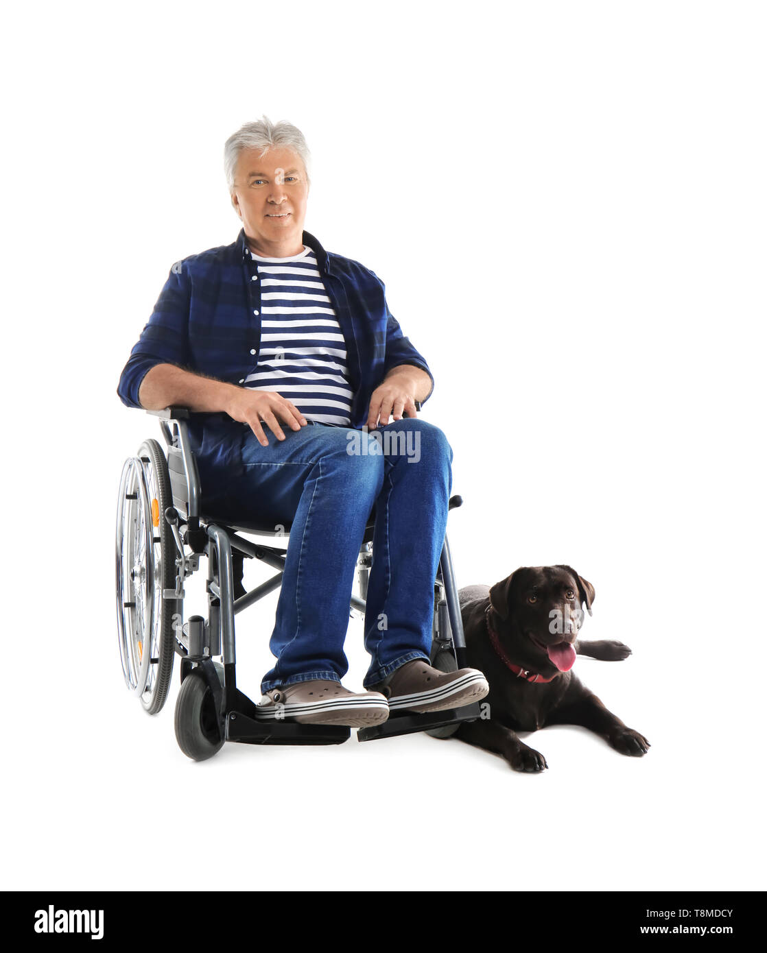Man en fauteuil roulant avec son chien sur fond blanc Banque D'Images